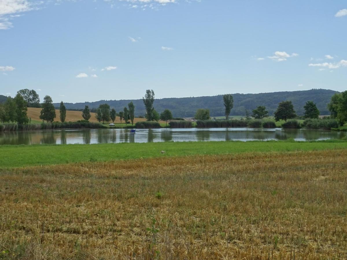 Appartamento Turm Im Blick Dietingen Esterno foto